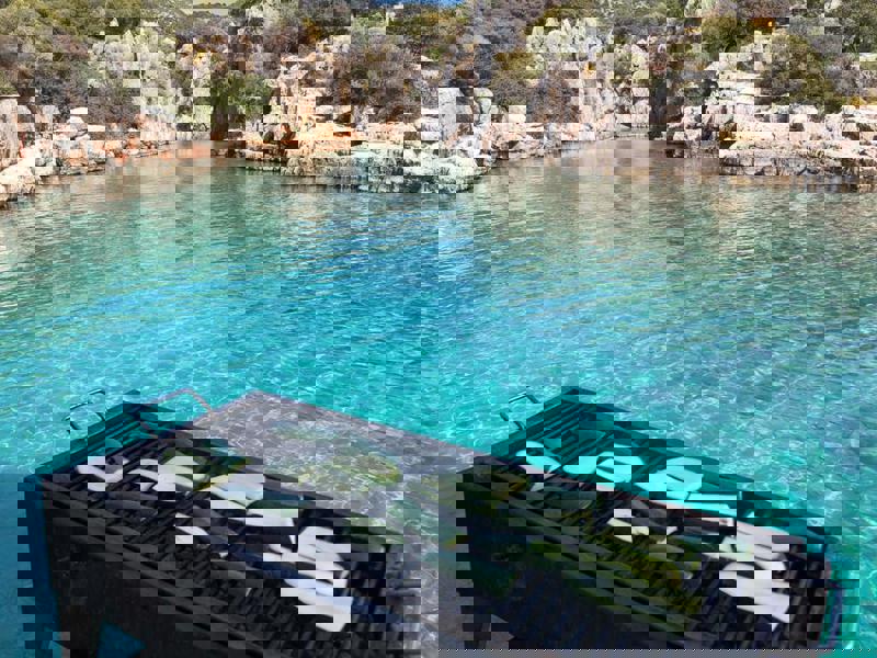 Selin 3 gallery image